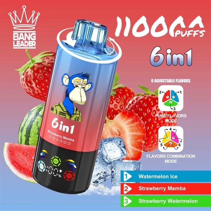 Ηγέτης Bang 110000