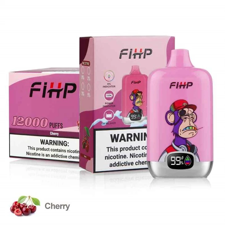 Ψηφιακό κουτί FIHP 12000
