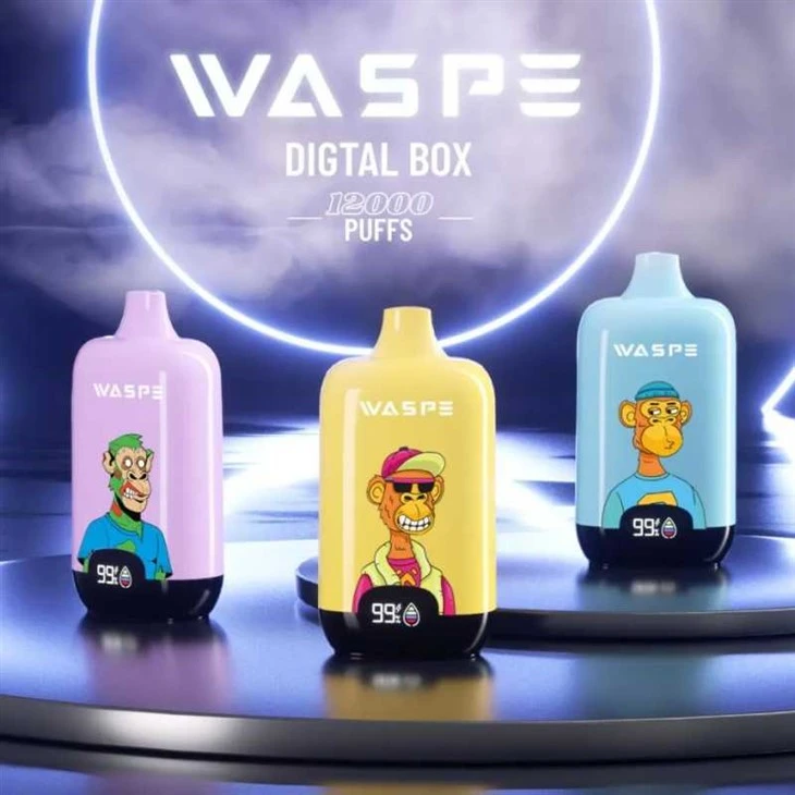 WASPE Ψηφιακή Κουτί 12000